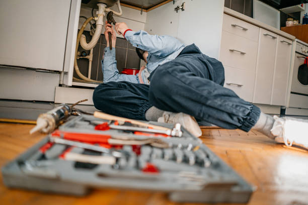 Best Plumbing Installation Services  in Newaygo, MI