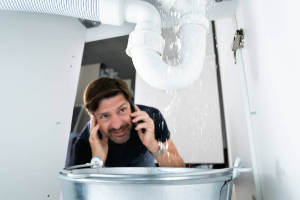 Best Emergency Plumber  in Newaygo, MI