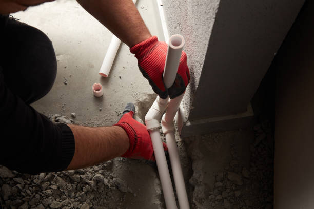 Best Local Plumber Services  in Newaygo, MI