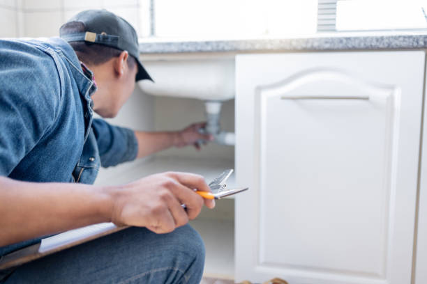 Best Clogged Drain Plumber  in Newaygo, MI