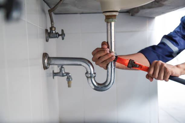 Best Plumbing Repair Near Me  in Newaygo, MI